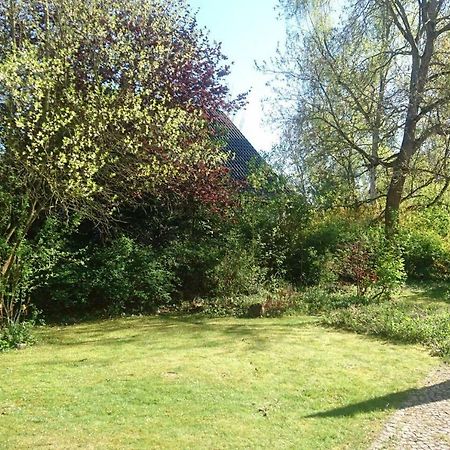 Sonniges Haeuschen Mit Garten ブラウンシュバイク エクステリア 写真