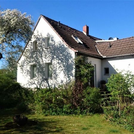 Sonniges Haeuschen Mit Garten ブラウンシュバイク エクステリア 写真
