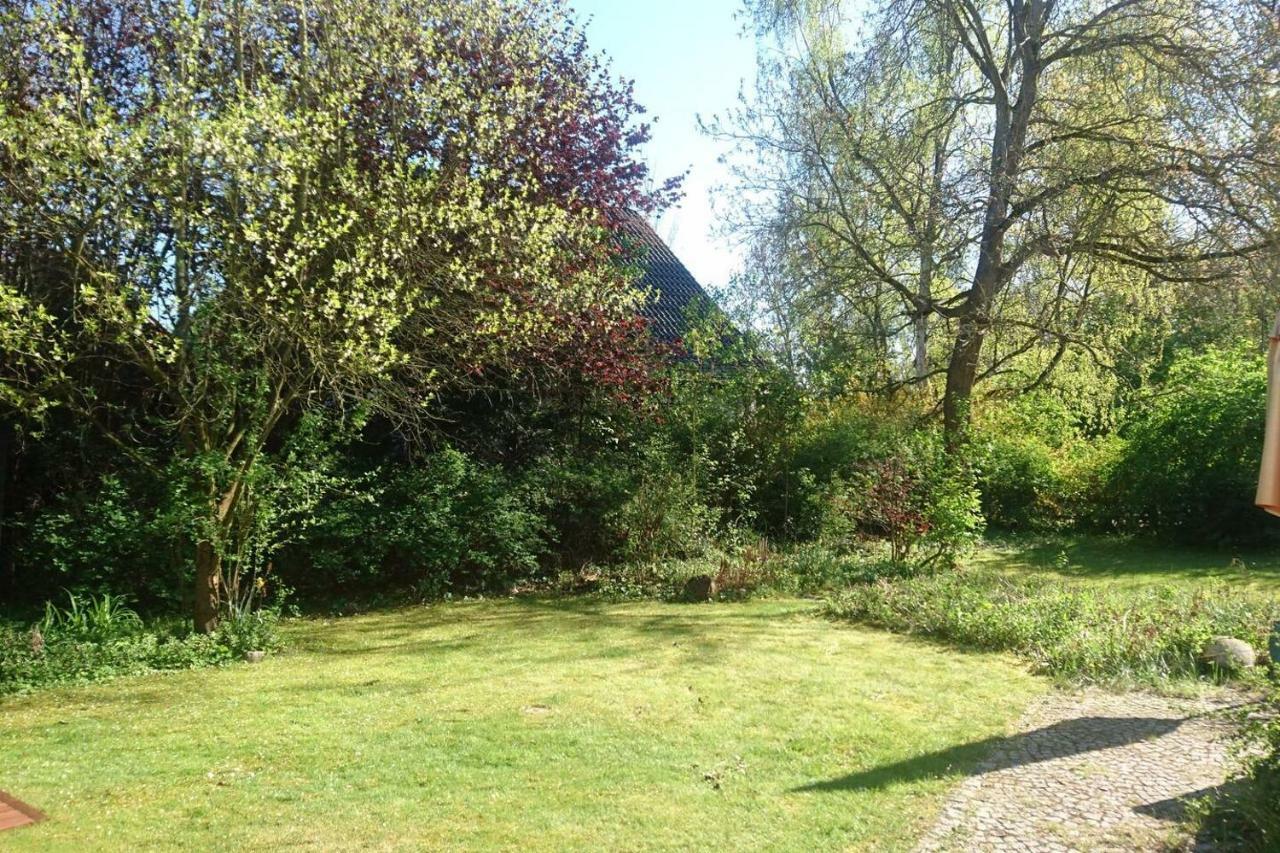 Sonniges Haeuschen Mit Garten ブラウンシュバイク エクステリア 写真