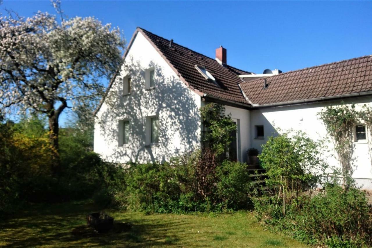 Sonniges Haeuschen Mit Garten ブラウンシュバイク エクステリア 写真