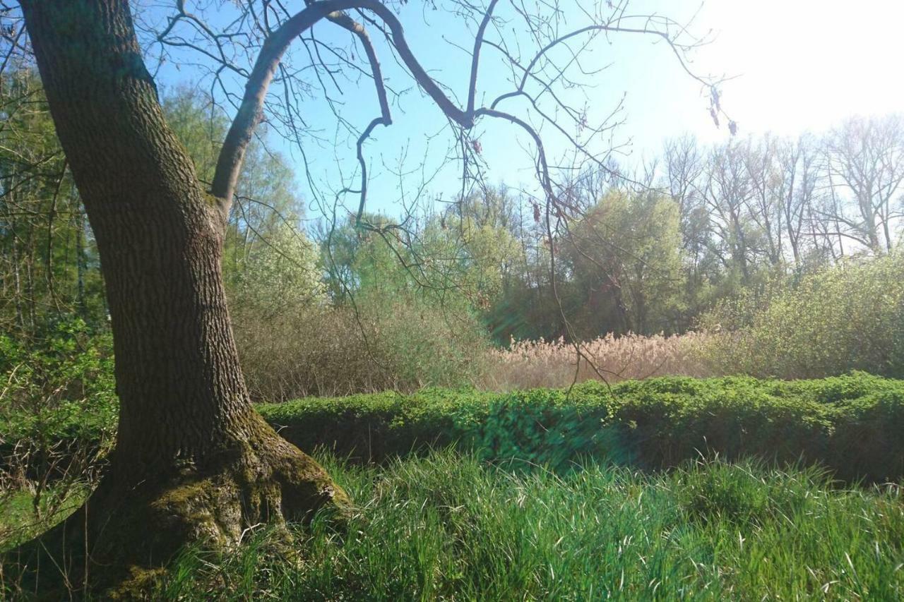 Sonniges Haeuschen Mit Garten ブラウンシュバイク エクステリア 写真