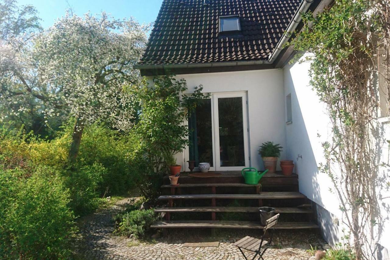 Sonniges Haeuschen Mit Garten ブラウンシュバイク エクステリア 写真