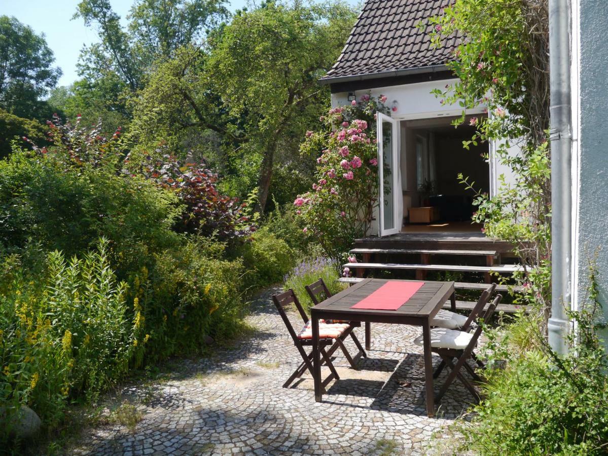 Sonniges Haeuschen Mit Garten ブラウンシュバイク エクステリア 写真